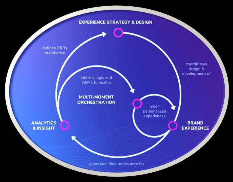 Web design. A professional circular strategy diagram for Wander Web Studio illustrating the cycle of Experience Strategy, Brand Experience, and Analytics & Insight.